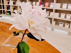 -二酉书店TOYOU BOOKS