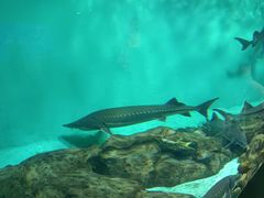 -太平洋海底世界