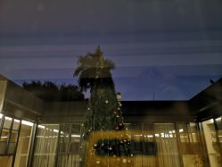 -爱帝宫月子中心(罗湖别墅院)