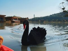 -杭州开元森泊度假乐园