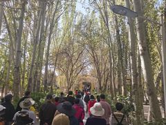 -艾提尕尔清真寺