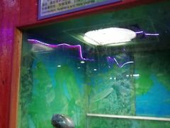 -上海大自然野生昆虫馆(东方明珠·爬宠昆虫探索中心)