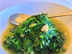 上汤豆苗-北京厨房(西安SKP店)