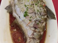 -田园小观园(武大店)