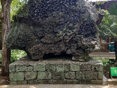-海口火山口国家地质公园