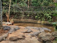 -海南热带野生动植物园