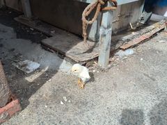 -东山民生市场(南崂路店)