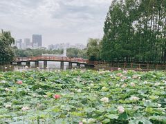 -黄兴公园