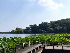 -杭州西湖风景名胜区-北街寻梦