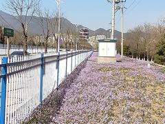-门城湖公园