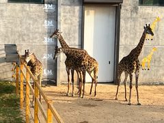 -西霞口神雕山野生动物世界