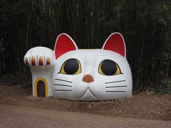 -漳州滨海火山岛自然生态风景区