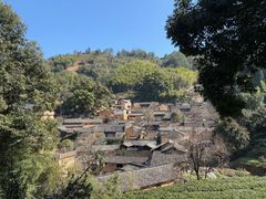 -杨家堂村
