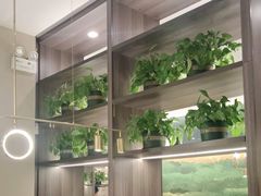 -刘胖子家常菜·蹄花焖藕(中南店)
