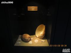 -亚龙湾中心广场·贝壳馆