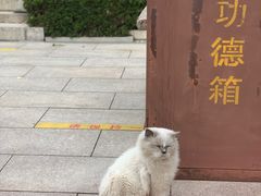 -湛山寺