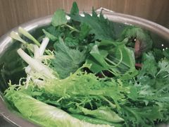 野菜-黔府豆米火锅野菜馆(南马店)