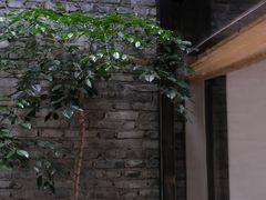 -Eu2+ coffee(上大路店)