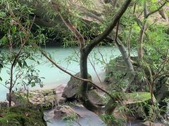 -香桥岩溶国家地质公园