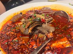 蓉派招牌毛血旺-湖鱼湖·蓉亭食贝(亚运村店)
