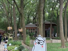 -同里国家湿地公园