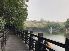 -白马涧龙池景区