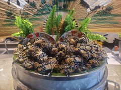 -五月罗马海鲜自助餐厅(陆家嘴店)