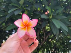 -八婆婆烧仙草(中山路店)