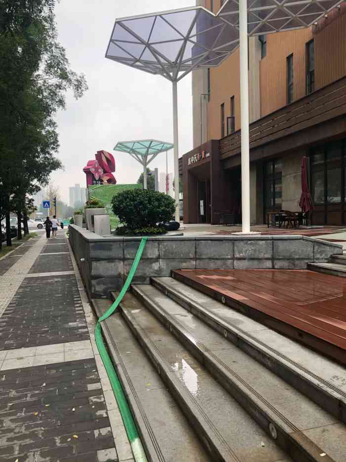 隆成花田里-"开了好几个月了,可惜人气还是不行.之前搞.