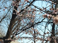 -长春市南湖公园