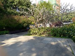 -光明港公园