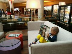 -新加坡瑞士史丹福酒店