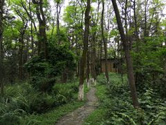 -象山森林公园