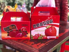 -小鱼草莓采摘园农家乐·小鱼餐厅