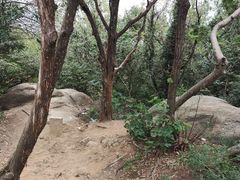 -灵岩山风景区