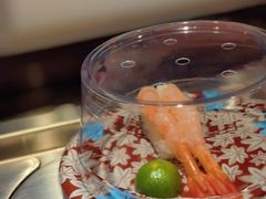 -小乔回转寿司(铁东万象汇店)