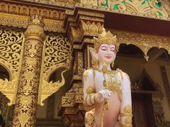 -西双版纳勐泐文化旅游区