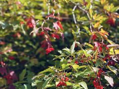 -哈尔滨北方森林动物园