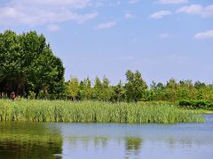 -永定河休闲森林公园