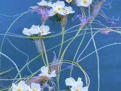 -丽江泸沽湖景区