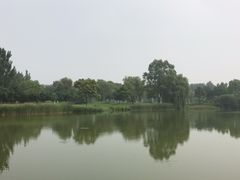 -东方双鹰高尔夫俱乐部-西北1门地上停车场