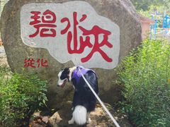 -碧水峡漂流