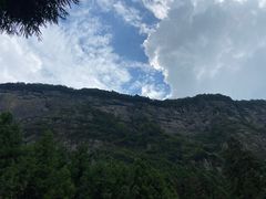 -重庆睡佛山森林公园