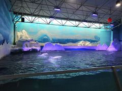 -秦皇岛乐岛海洋王国