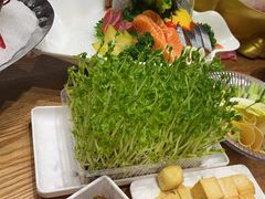 -尚海豆捞(乐虹坊店)