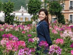 -玫瑰小镇