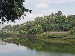 -江郎山风景名胜区
