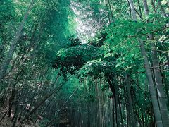 -敬亭山风景名胜区