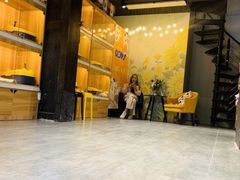 -欣宠猫屋·矮脚拿破仑·蓝金金渐层