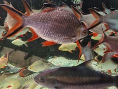 -太平洋海底世界